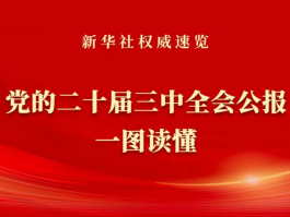 黨的二十屆三中全會公報一圖讀懂